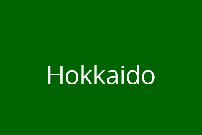 Descoper Noua Ta Hokkaido Câine in Nisporeni