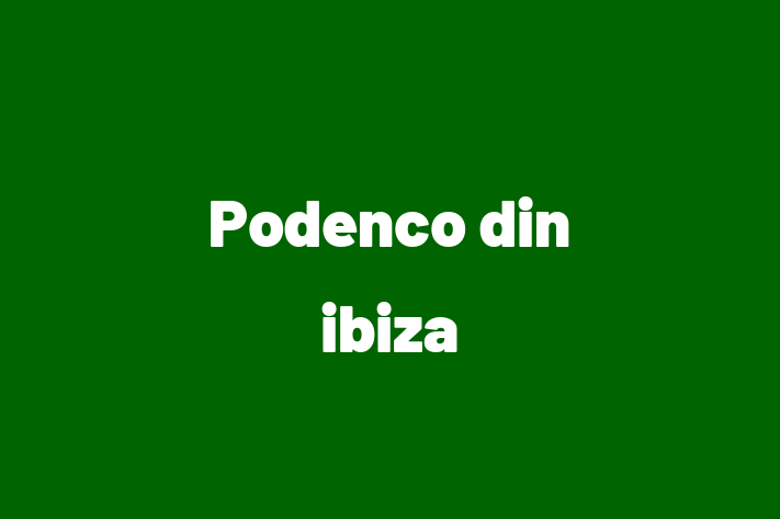 ntlnete Noua Ta Podenco din ibiza Câine in oldneti