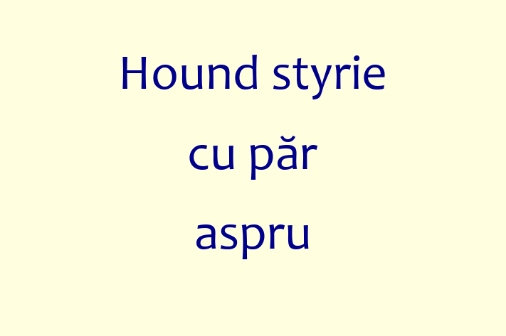 Acest câine de 3 luni este blând și prietenos și disponibil pentru adopție. Prețul este de 1,650.00 Lei, iar toate vaccinările sunt la zi.
Contactează Marian la (067) 983 820 pentru mai multe informații.