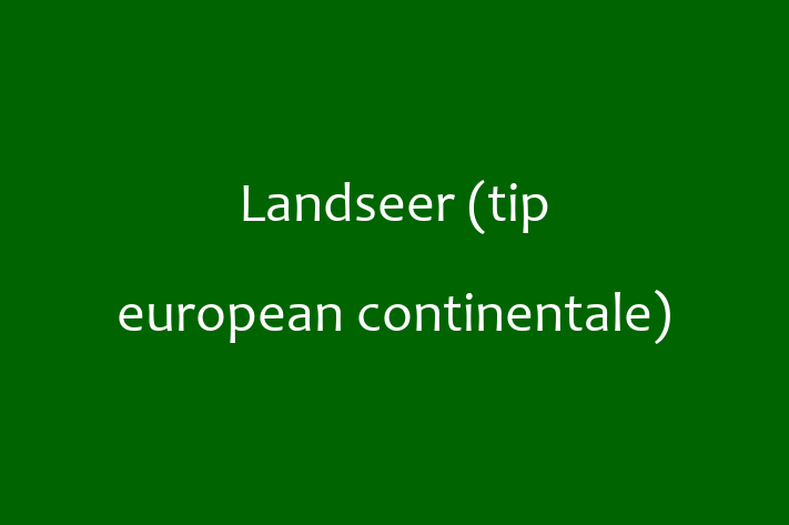 Landseer tip european continentale de Vnzare in Cueni