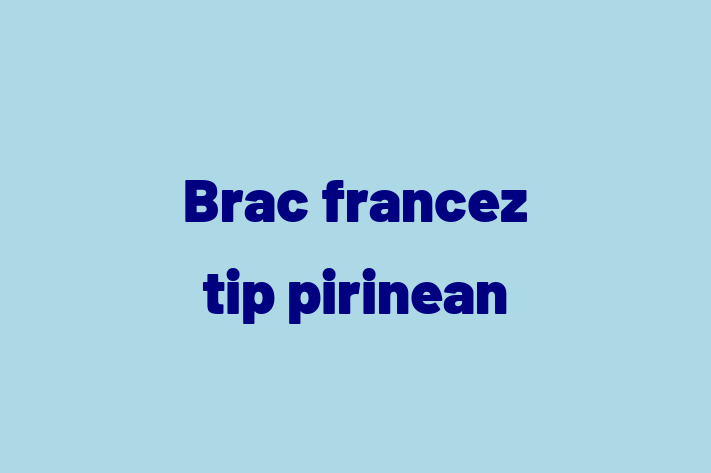 Întâlnește adorabilul nostru Brac francez tip pirinean de 1 an! Acest câine este plin de personalitate, bine socializat și gata să se alăture familiei tale. Este la zi cu vaccinările și vine cu dosar medical. Perfect pentru iubitorii de câine din Soroca.
Preț: 1,450.00 Lei
Contactează Claudiu la (0230) 792632 pentru mai multe detalii sau pentru a programa o vizită!