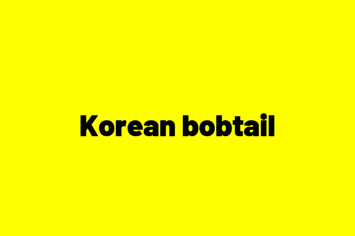 Puii noștri de Korean bobtail de 6 luni sunt în așteptarea unei case iubitoare! Acești pisică sunt curios și independent și gata să facă parte din familia ta.
Preț: 2,250.00 Lei. Contactează Diana la (078) 669 192.