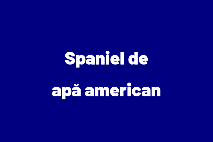 Acest Spaniel de apă american de 1 an este energic și amuzant și gata să fie adoptat. Vine cu toate vaccinările necesare. Preț: 500.00 Lei.
Contactează Rares la (021) 690195 pentru o vizită!