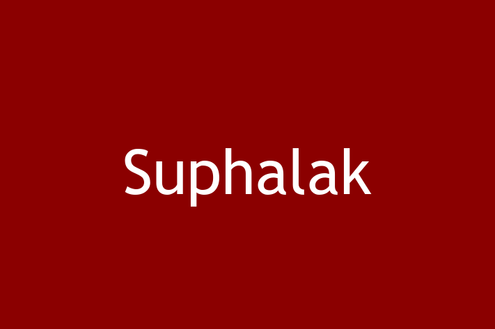 Suphalak Pisica Disponibil Acum in Leova