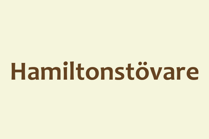 Hamiltonstvare Câine Disponibil Acum in Taraclia