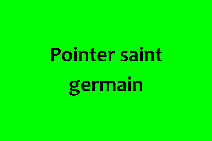 Acest Pointer saint germain de 1 lun este alert și activ și gata să fie adoptat. Vine cu toate vaccinările necesare. Preț: 1,900.00 Lei.
Contactează Ion la (067) 786 898 pentru o vizită!