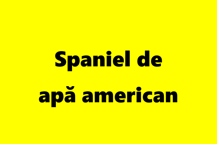 Acest Spaniel de apă american de 1 an este jucăuș și afectuos și în așteptarea unei familii iubitoare! La zi cu toate vaccinările. Preț: 2,300.00 Lei.
Contactează Dorina la (0275) 870228.