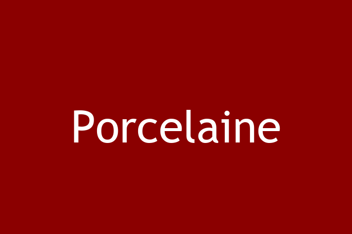 Acest câine de 8 luni este blând și prietenos și disponibil pentru adopție. Prețul este de 1,950.00 Lei, iar toate vaccinările sunt la zi.
Contactează Octavian la (061) 808 588 pentru mai multe informații.