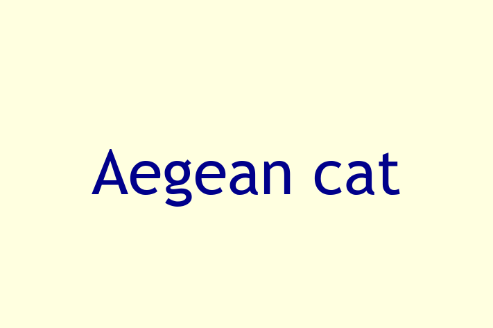 Acest Aegean cat este calm și afectuos și gata să se mute într-o nouă casă! Este sănătos și la zi cu toate vaccinările. Contactează Gabriela la (069) 254 747 pentru preț și mai multe detalii.