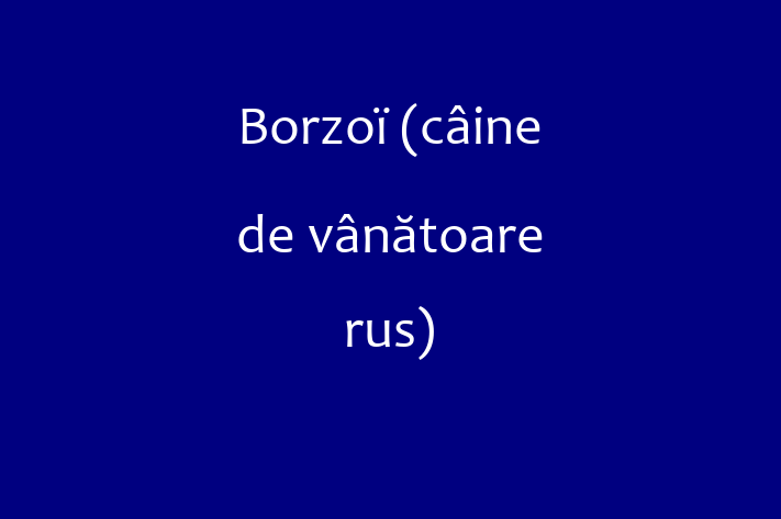 Borzo cine de vntoare rus Câine Pregtit pentru o Cas in Cantemir