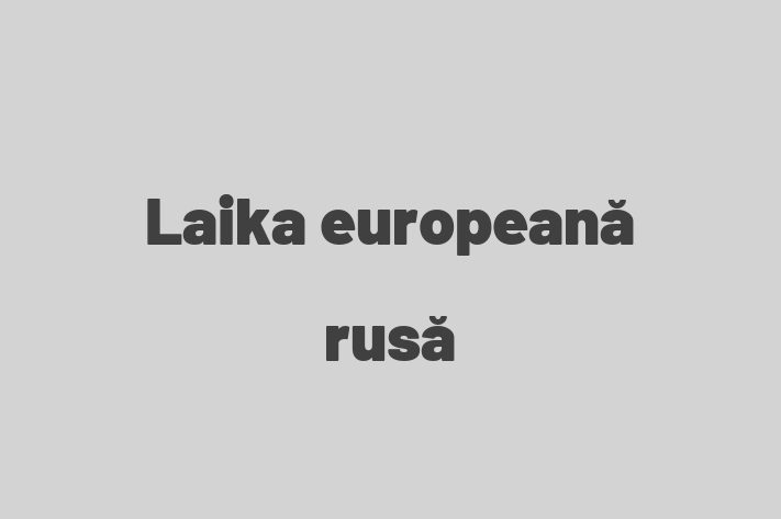 Întâlnește adorabilul nostru Laika europeană rusă de 4 luni! blând și prietenos și la zi cu vaccinările. Preț: 450.00 Lei.
Contactează Stefan la (061) 387 367 pentru mai multe detalii.