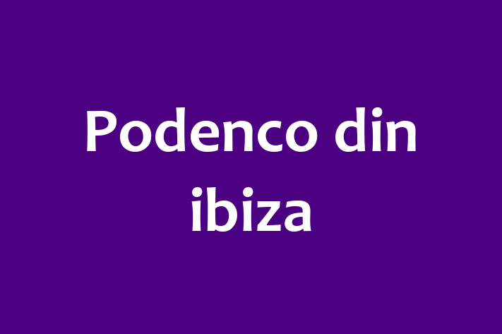 Podenco din ibiza Câine de Vnzare in Basarabeasca