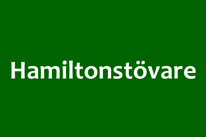 Hamiltonstvare Câine de Vnzare in Cantemir