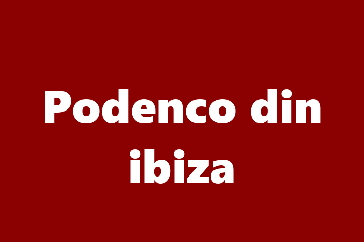 Podenco din ibiza de Vnzare in Orhei