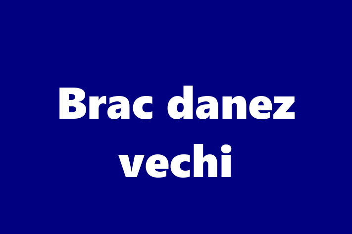 Brac danez vechi Câine de Vnzare in Rcani