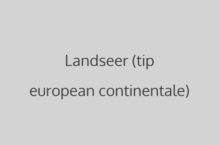 Acest Landseer (tip european continentale) de 1 an este calm și iubitor și în așteptarea unei familii iubitoare! La zi cu toate vaccinările. Preț: 2,350.00 Lei.
Contactează Laura la (0246) 509127.