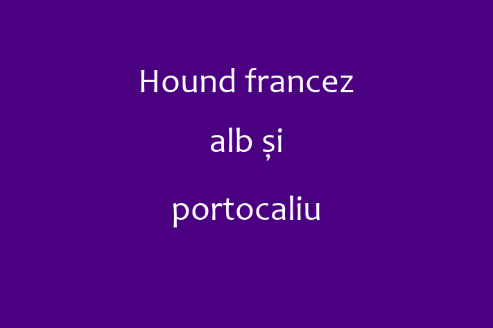 Adoptă acest Hound francez alb și portocaliu de 11 luni, un câine energic și amuzant. Vaccinat și sănătos. Preț: 3,000.00 Lei.
Contactează Sorin la (021) 457332.