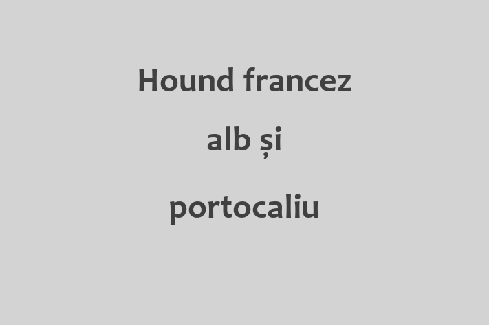 Întâlnește adorabilul nostru Hound francez alb și portocaliu de 5 luni! energic și amuzant și la zi cu vaccinările. Preț: 850.00 Lei.
Contactează Lucia la (067) 240 801 pentru mai multe detalii.