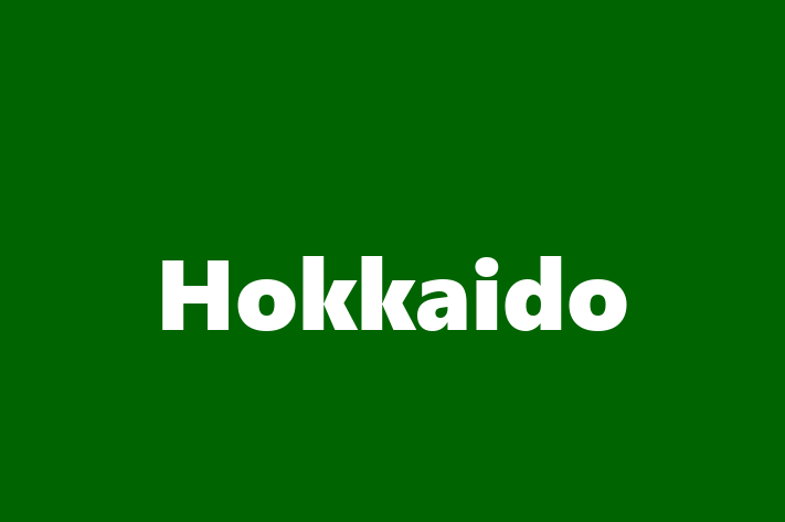 Al nostru Hokkaido de 3 ani este loial și protector și gata pentru o casă permanentă. Vine cu dosar medical și vaccinări. Preț: 450.00 Lei.
Contactează Rares la (060) 394 394 pentru a programa o întâlnire!