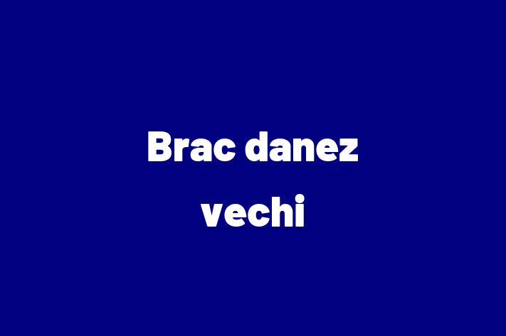 Cine Brac danez vechi de Vnzare in Cahul