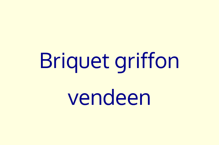 ntlnete Noua Ta Briquet griffon vendeen Câine in Cahul