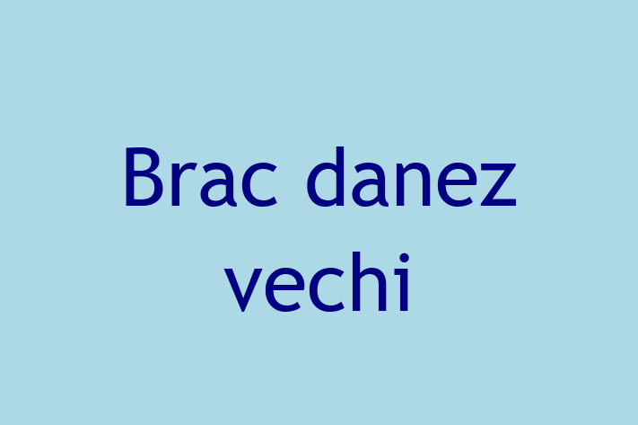 Al nostru Brac danez vechi de 1 an este perfect pentru familia ta! Sănătos, vaccinat și jucăuș și afectuos. Preț: 1,150.00 Lei.
Contactează Ioana la (069) 859 895.