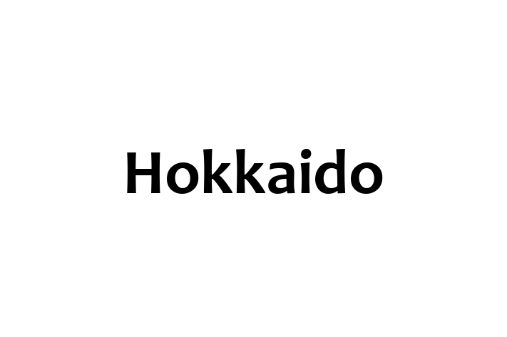 Hokkaido Câine Pregtit pentru o Cas in Dondueni