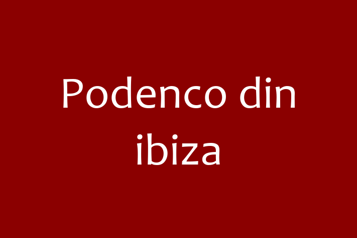 Cine Podenco din ibiza de Vnzare in Floreti