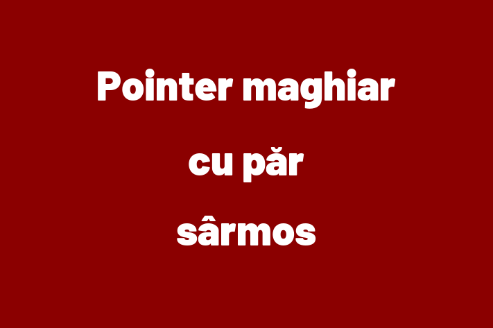 Al nostru Pointer maghiar cu păr sârmos de 10 luni este sănătos, alert și activ și gata pentru o casă nouă. Disponibil pentru 1,900.00 Lei.
Contactează Carina la (0249) 990157.