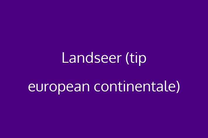 Landseer tip european continentale de Vnzare in Comrat