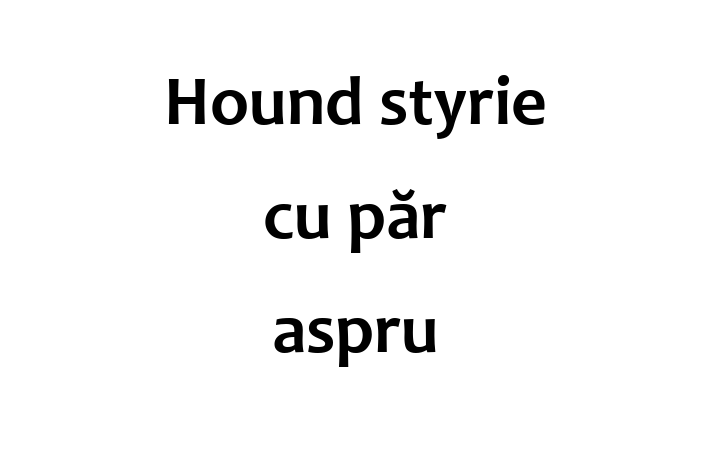 Hound styrie cu pr aspru Câine de Vnzare in Cueni