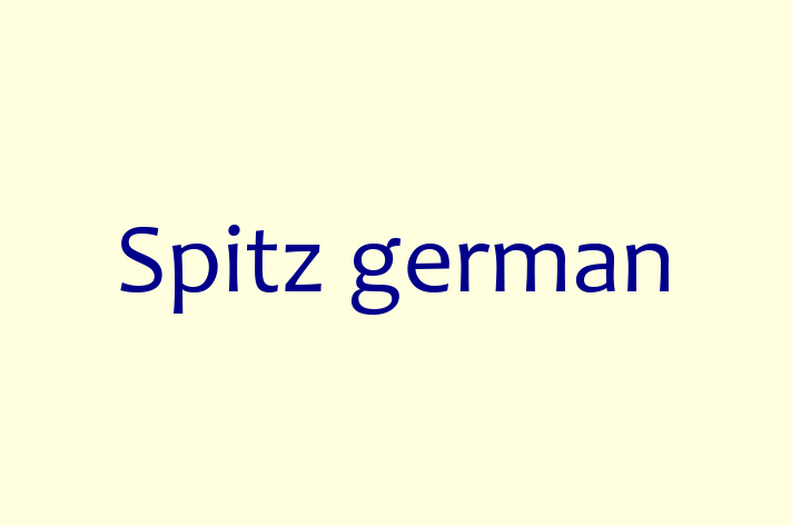 Întâlnește adorabilul nostru Spitz german de 1 an! jucăuș și afectuos și la zi cu vaccinările. Preț: 2,550.00 Lei.
Contactează Octavian la (067) 424 788 pentru mai multe detalii.