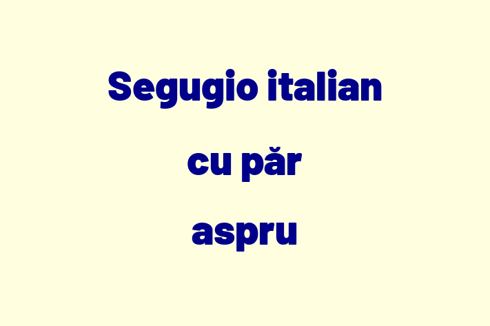 Adopt un Segugio italian cu pr aspru Câine Fericit in Dubasari