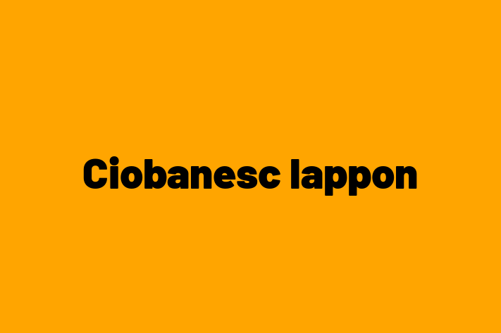 Acest câine de 2 ani este jucăuș și afectuos și disponibil pentru adopție. Prețul este de 600.00 Lei, iar toate vaccinările sunt la zi.
Contactează Camil la (069) 39 669 pentru mai multe informații.