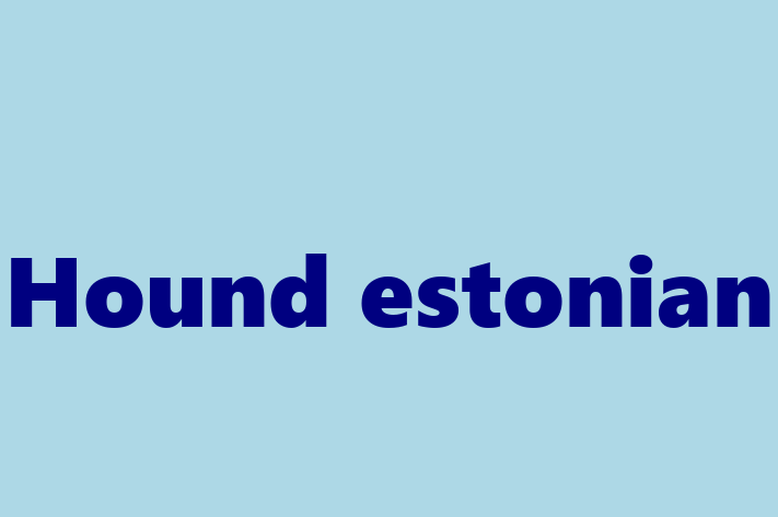 Descoper Noua Ta Hound estonian Câine in Nisporeni