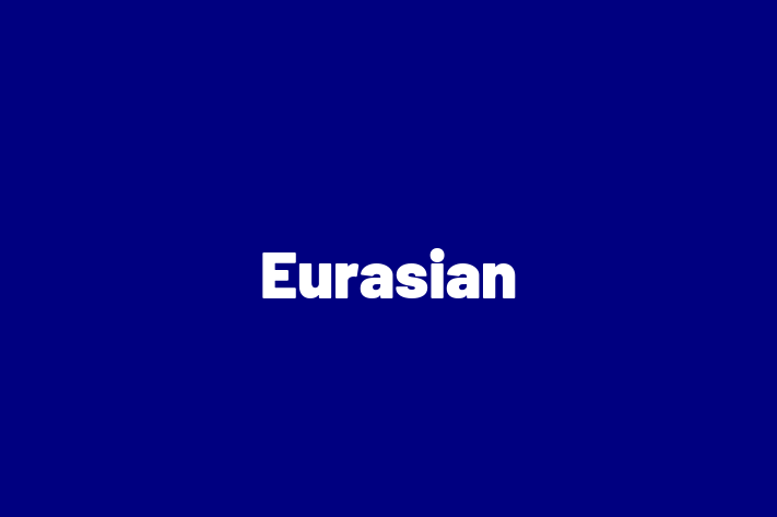 Întâlnește adorabilul nostru Eurasian de 2 ani! Acest câine este plin de personalitate, bine socializat și gata să se alăture familiei tale. Este la zi cu vaccinările și vine cu dosar medical. Perfect pentru iubitorii de câine din Dubasari.
Preț: 1,150.00 Lei
Contactează Patricia la (078) 473 889 pentru mai multe detalii sau pentru a programa o vizită!