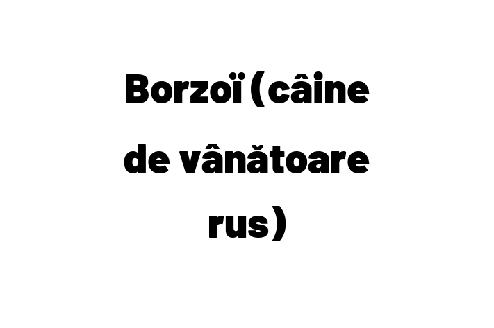 Al nostru Borzoï (câine de vânătoare rus) de 2 ani este loial și protector și gata pentru o casă permanentă. Vine cu dosar medical și vaccinări. Preț: 2,500.00 Lei.
Contactează Adela la (060) 905 415 pentru a programa o întâlnire!