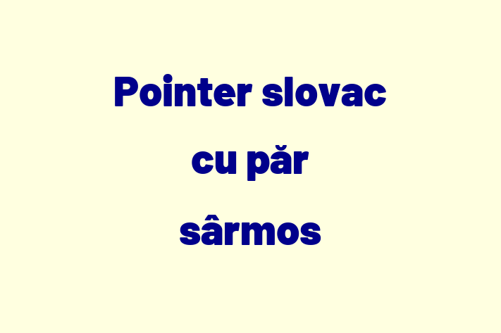 Dacă ești în căutarea unui câine alert și activ, atunci Pointer slovac cu păr sârmos este potrivit pentru tine! Acest câine de 1 an este vaccinat și sănătos.
Contactează Anastasia la (062) 760 264 pentru preț și mai multe detalii.