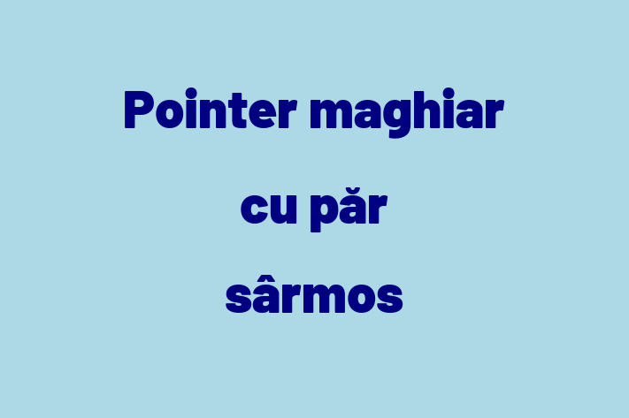 Dacă ești în căutarea unui câine blând și prietenos, atunci Pointer maghiar cu păr sârmos este potrivit pentru tine! Acest câine de 1 an este vaccinat și sănătos.
Contactează Razvan la (061) 100 489 pentru preț și mai multe detalii.