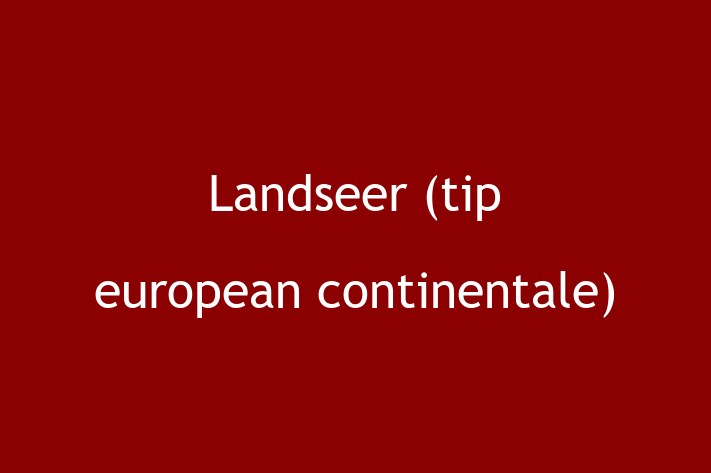 Pui de Landseer tip european continentale Câine de Vnzare in Basarabeasca