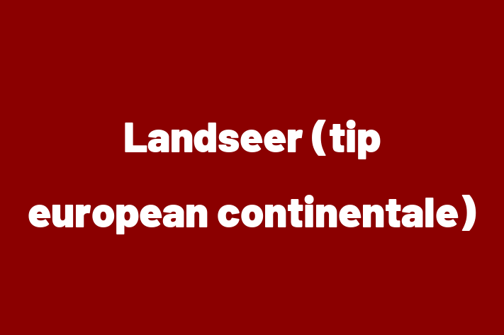 Landseer tip european continentale Câine de Vnzare in Dondueni