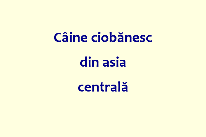 Cine ciobnesc din asia central Câine de Vnzare in Edine