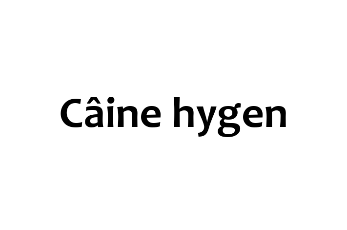 Cine hygen Câine Pregtit pentru o Cas in Teleneti