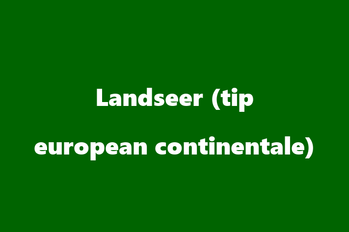 Adopta un Landseer tip european continentale Câine in Edine