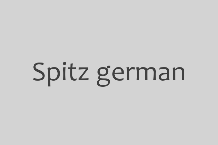 Întâlnește adorabilul nostru Spitz german de 1 an! Acest câine este plin de personalitate, bine socializat și gata să se alăture familiei tale. Este la zi cu vaccinările și vine cu dosar medical. Perfect pentru iubitorii de câine din Criuleni.
Preț: 1,650.00 Lei
Contactează Iulia la (061) 390 106 pentru mai multe detalii sau pentru a programa o vizită!