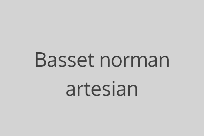 Al nostru Basset norman artesian de 3 ani este loial și protector și gata pentru o casă permanentă. Vine cu dosar medical și vaccinări. Preț: 1,600.00 Lei.
Contactează Mihail la (068) 132 624 pentru a programa o întâlnire!