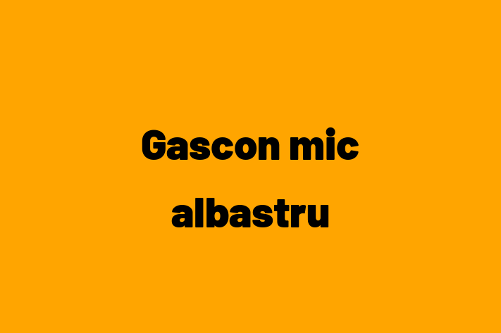 🌟 Întâlnește adorabilul nostru Gascon mic albastru de 1 an! Acest câine este jucăuș și afectuos și gata pentru o nouă familie. 📍 Locație: Taraclia | 💵 Preț: 2,700.00 Lei
📞 Contactează Sorina la (061) 94 391 pentru a programa o vizită!