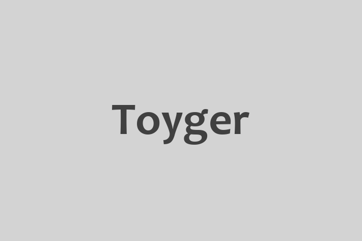 Toyger Pisica Disponibil Acum in Drochia