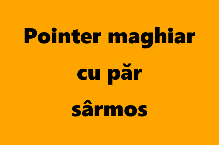 Acest câine de 2 ani este loial și protector și disponibil pentru adopție. Prețul este de 1,850.00 Lei, iar toate vaccinările sunt la zi.
Contactează Calin la (063) 892 128 pentru mai multe informații.