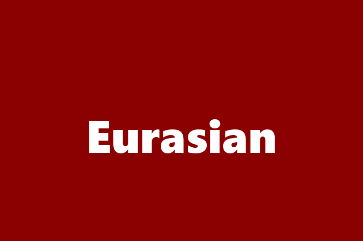 Acest Eurasian este energic și amuzant și gata să se mute într-o nouă casă! Este sănătos și la zi cu toate vaccinările. Contactează Ion la (0230) 731747 pentru preț și mai multe detalii.